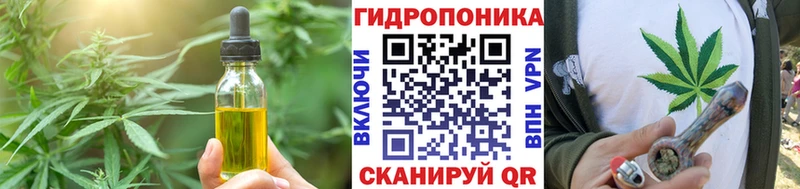 Canna-Cookies конопля  купить наркотик  Шуя 