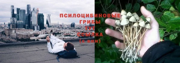 мяу мяу мука Остров