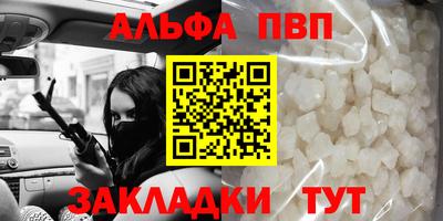 бошки Кингисепп