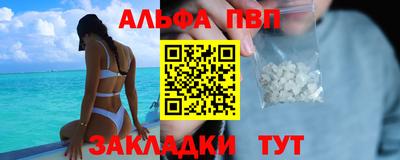 бошки Кингисепп