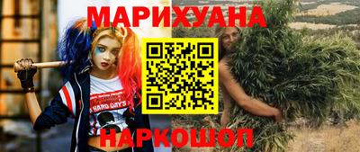 бошки Кингисепп