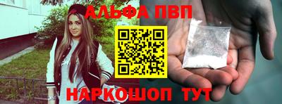 бошки Кингисепп