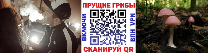 Галлюциногенные грибы прущие грибы Шуя