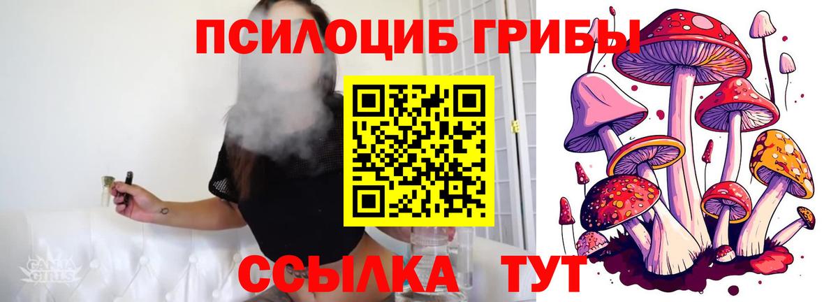 Псилоцибиновые грибы MAGIC MUSHROOMS Шуя